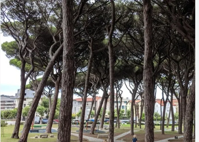 Piso Cesar De La Campa Apartment *